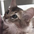 Lycka *profile*